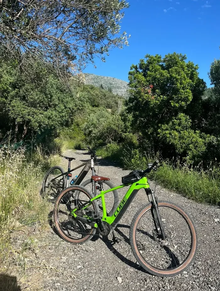 E-bikes on mountain path